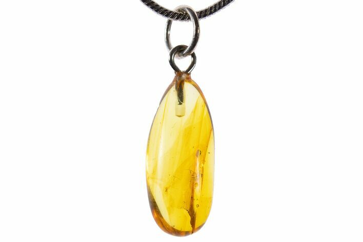 Polished Baltic Amber Pendant (Necklace) - Contains Fly! #339608